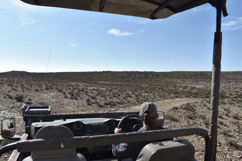 game-drives-rogge-cloof
