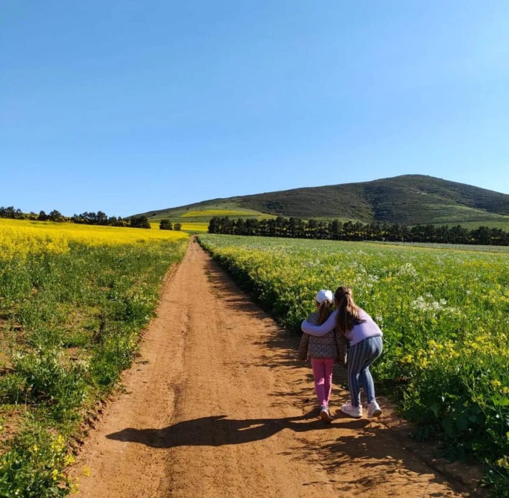meerendal-wine-estate