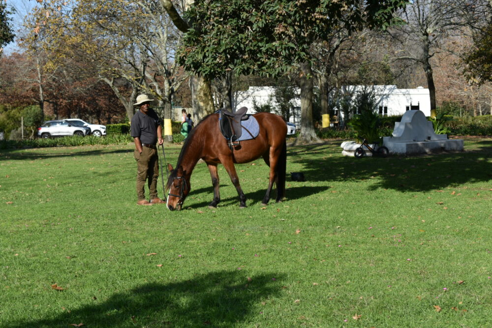 boschendal-horse-rides